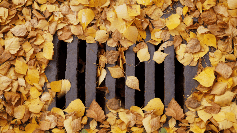 Street drain for rain water in fall