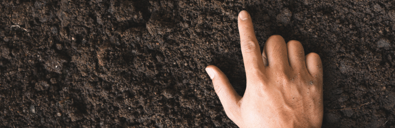 The man's hand touches the loamy soil with proper technology for cultivating the soil containing the nutrients that are essential to plants.